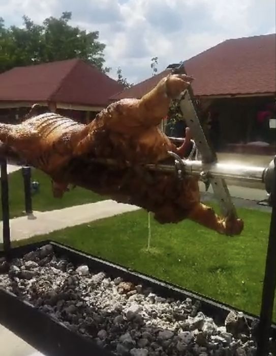 Protap electric pentru evenimente