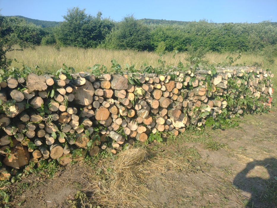 Lemne pentru foc