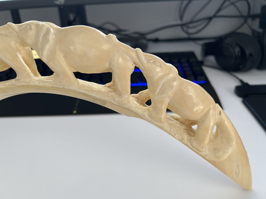 Colt de elefant scluptat