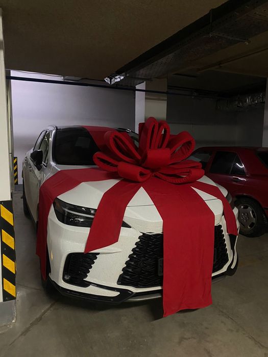 Бант на машину