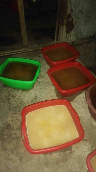 Jir, molning eritilgan yog'i