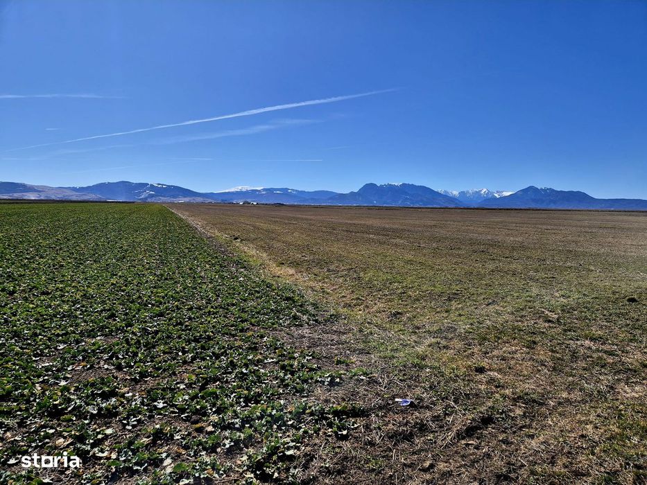 Teren extravilan / Prejmer, Brașov /  Potențial pentru dezvoltare!