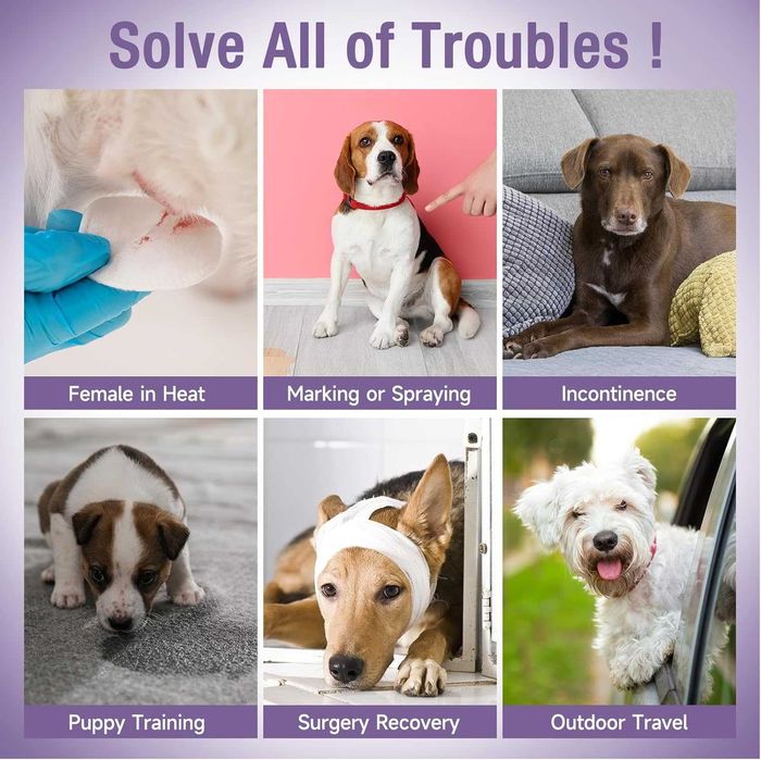 Меки пелени за женски кучета, 40 броя еднократни с индикатор, L