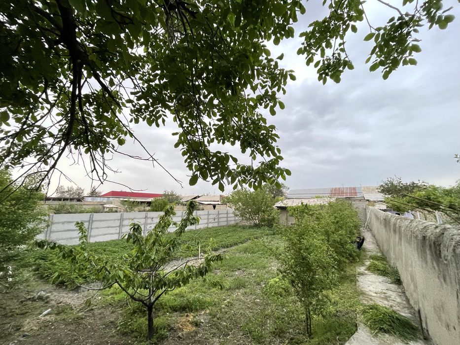 Uy sotiladi Plem Savxoz 16 sotok