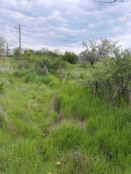 Парцел в село Братя Даскалови до ток и вода