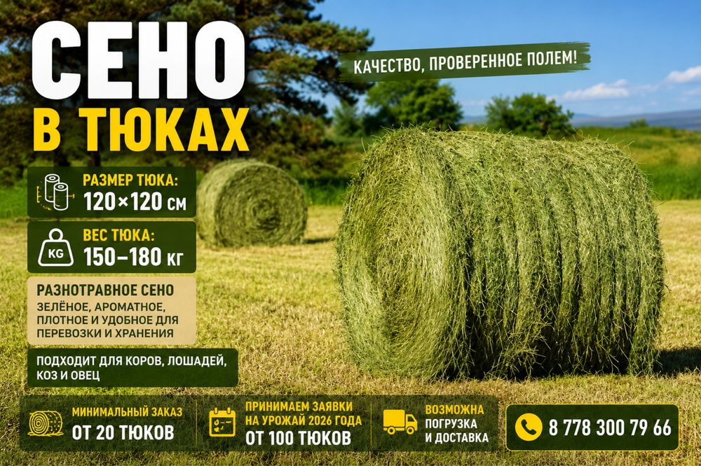 Сено в тюках 120×120 | Зелёное разнотравье, подготовим на зимовку сено