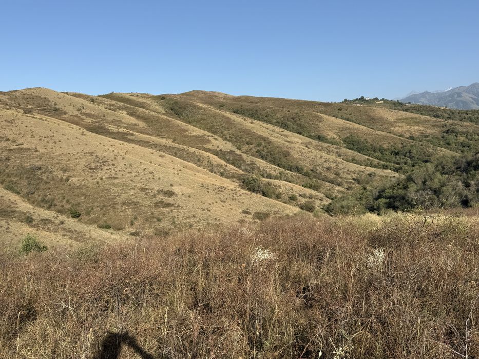 Продам участок 183 га