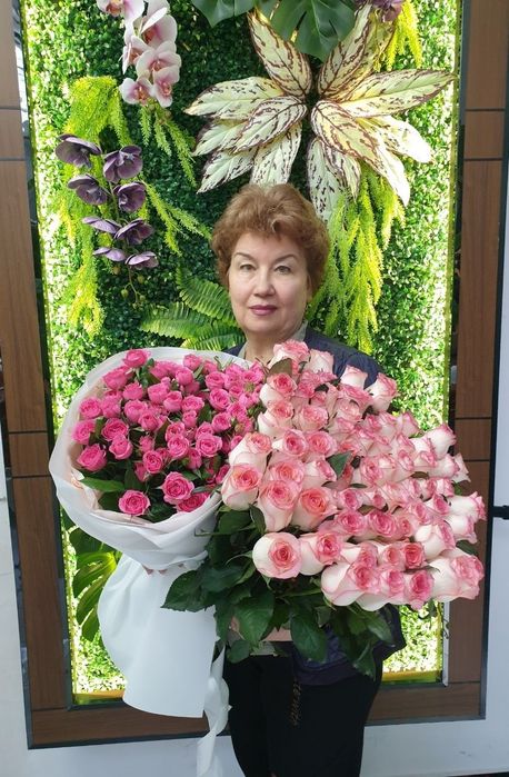 Котик породы Скоттиш фолд