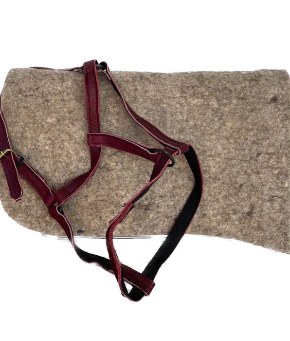 Көкпар ертоқым