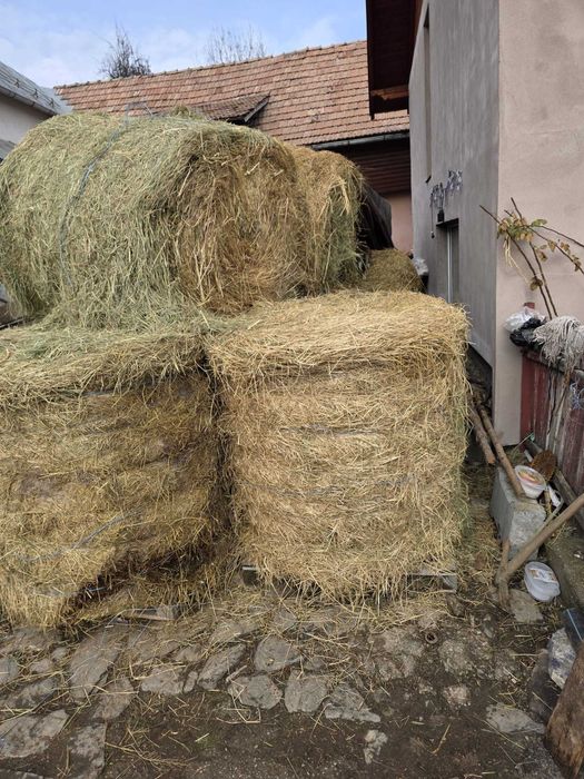 Vand baloti lucernă