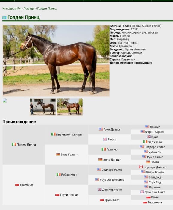 Продам  жеребую кобылу.