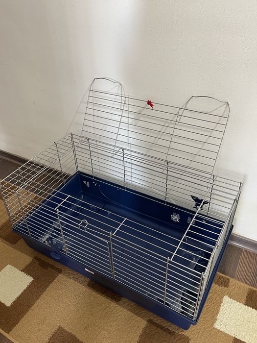 Vand 2 custi hamsteri/porcusori de guineea