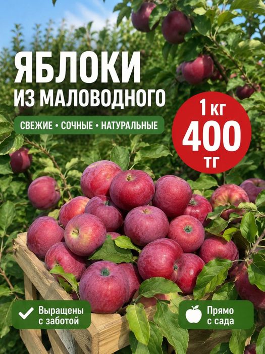 Яблоки из маловодного