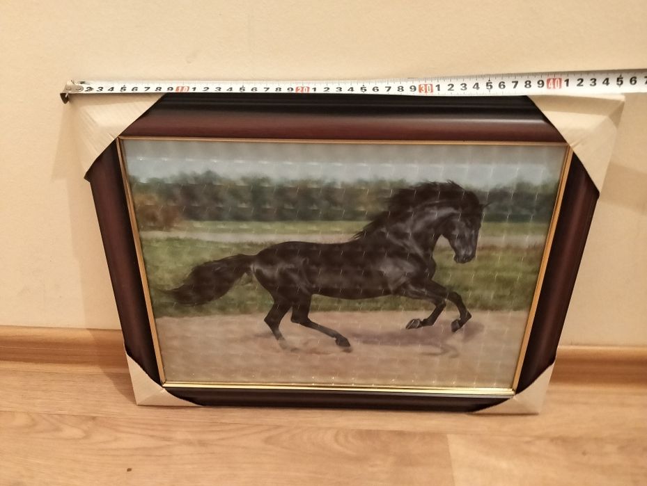 Картина про коней