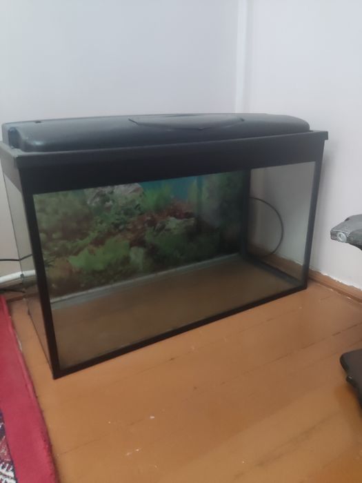 Аквариум со всеми принадлежтями