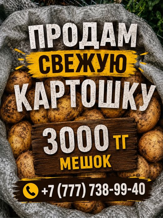 Продам свежую хорошая