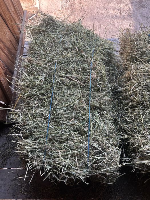 De vânzare baloți de lucernă