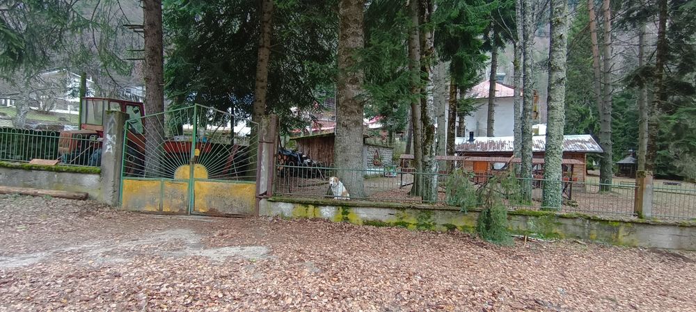 имот с изключителен потенциал