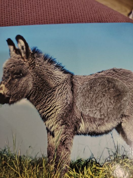 Комплект детски книжки за 20 лв.