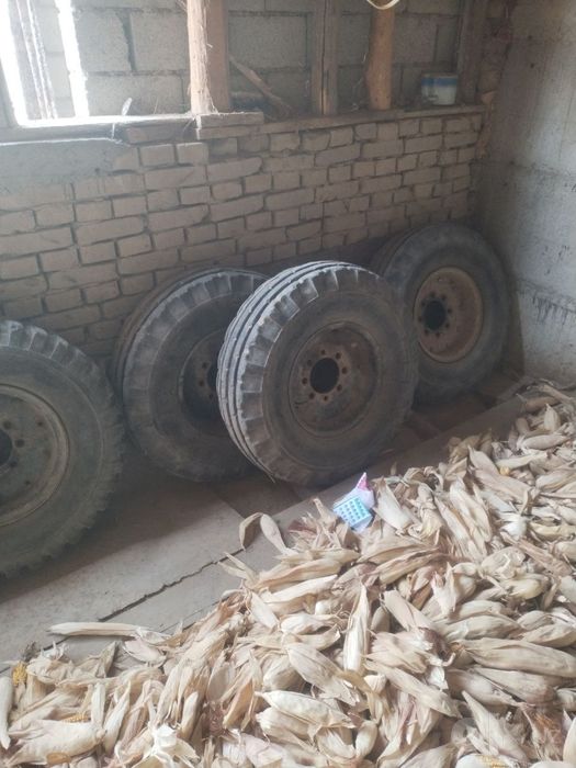 Traktor orqa shinalati va prasep uchun ideal shinalar