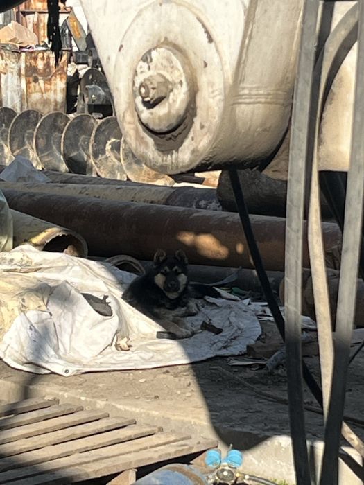 Продам сабоки 2 малчики