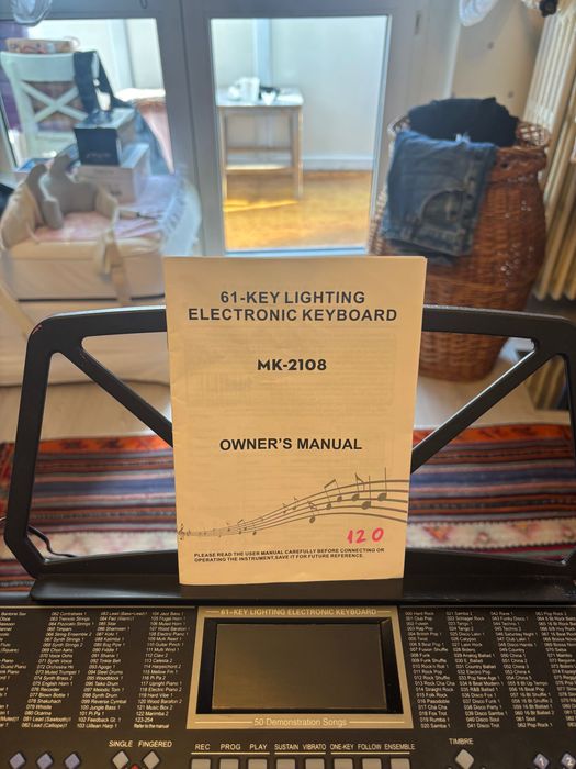 Pian electronic (orga )