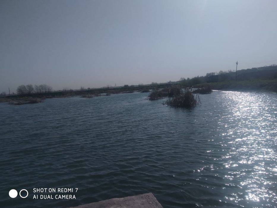 Тайёр 4 гектар уч нафар кули билан дарё куйнида сотилади