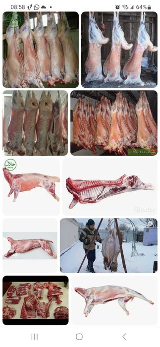 Балғын Қой еті!!! Мясо баранина