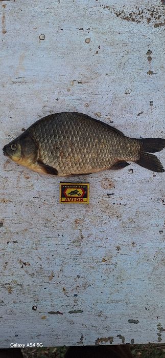 Зона отдыха ÖZEN в Косшы