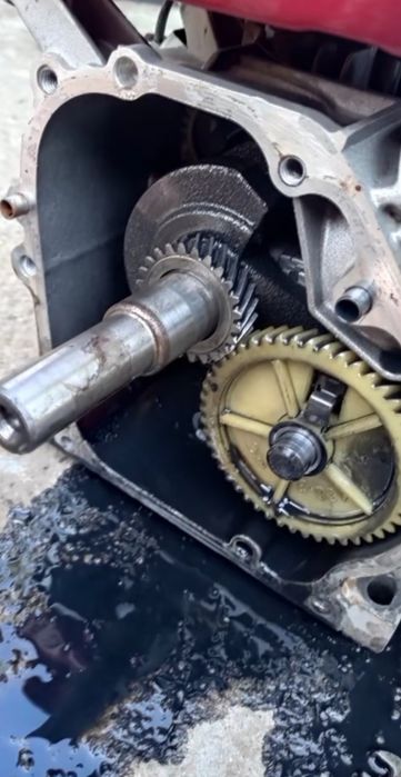 Repar motoare 2T /4T