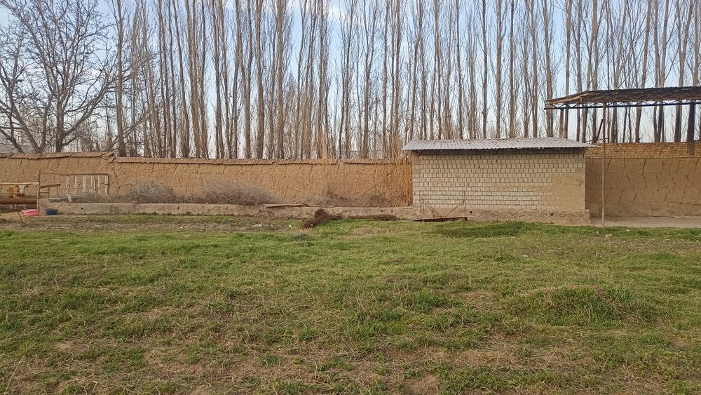 Er sotiladi 10 sotih