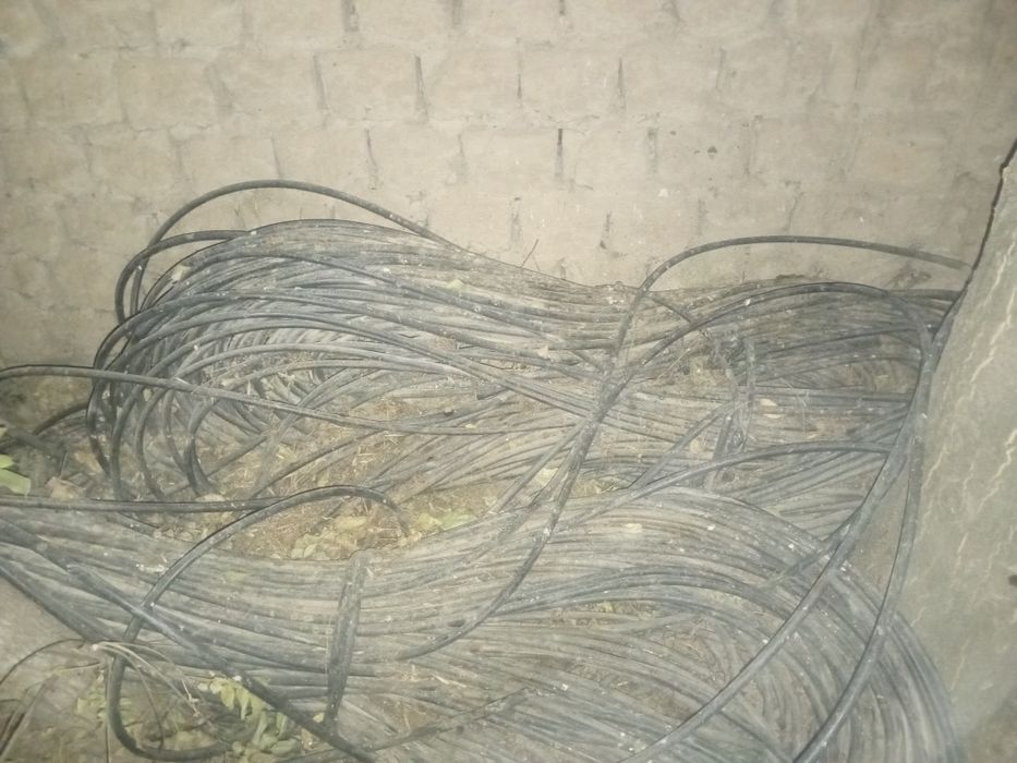 Израильский шланга