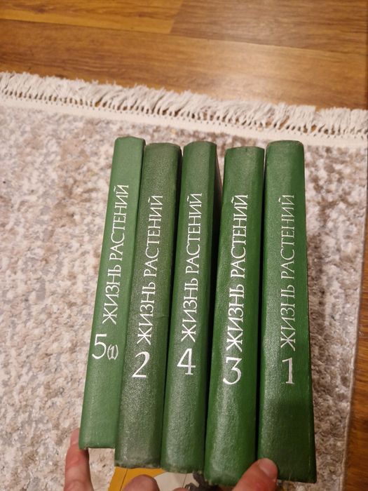 Шантарам  книга роман