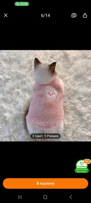 Одежда для кошек