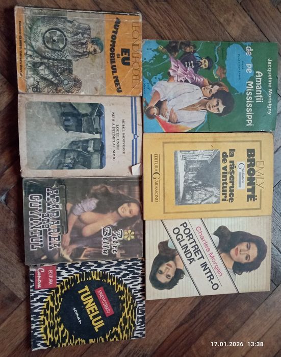Cărți literatura și diverse domenii