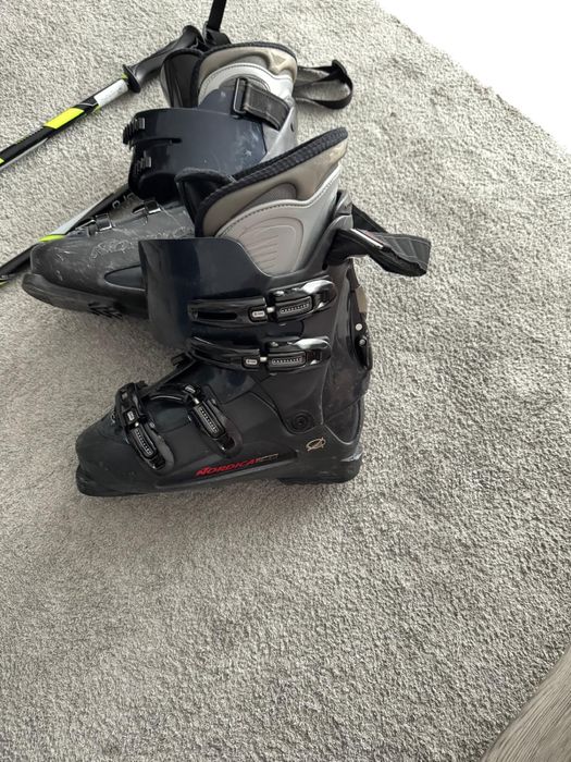 Schiuri SALOMON & clapari & bete