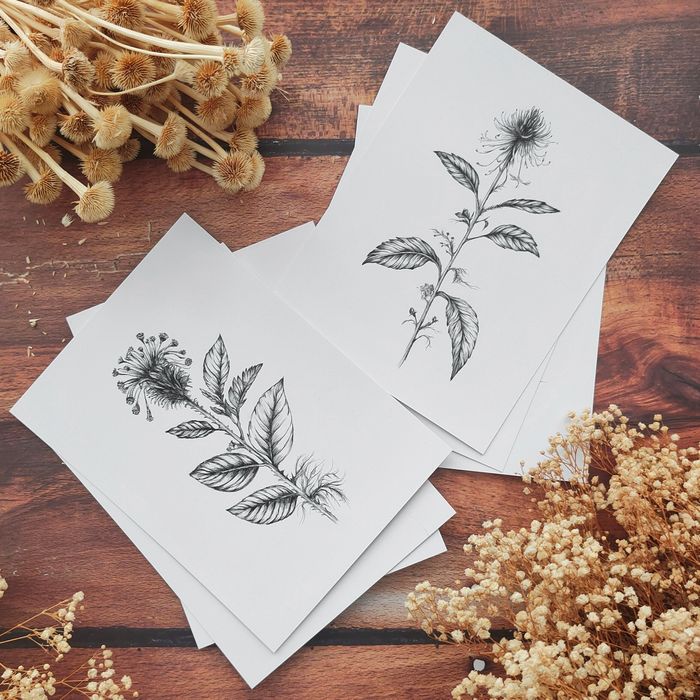 Малки графики на различни видове цветя, рисунки