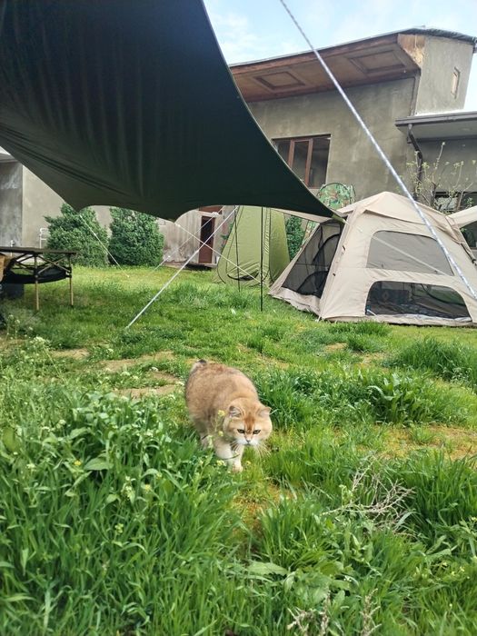 Palatka prokat palatka ijaraga