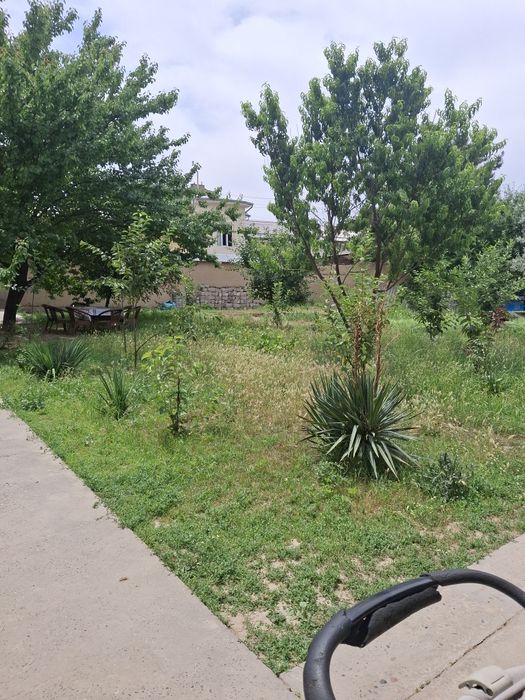 Oltin tepa mebelnida ,7.8 sotix hovli