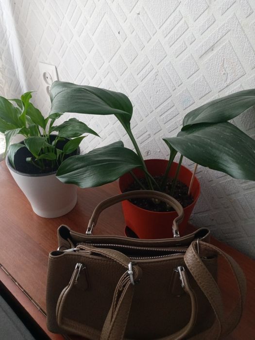 Продам Сумку в отличном состоянии