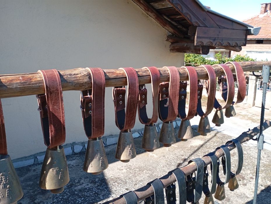 Чанове Звънци два модела