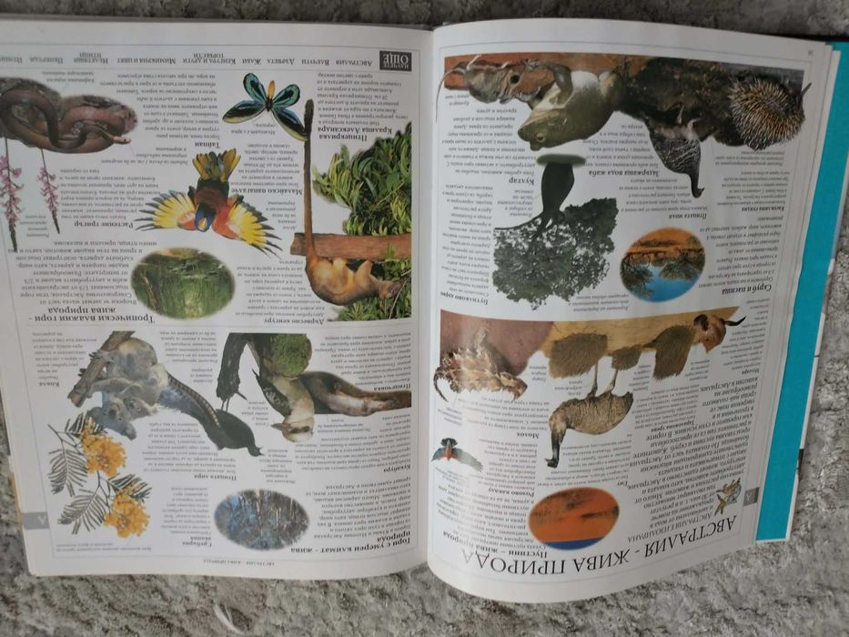 Голяма семейна енциклопедия