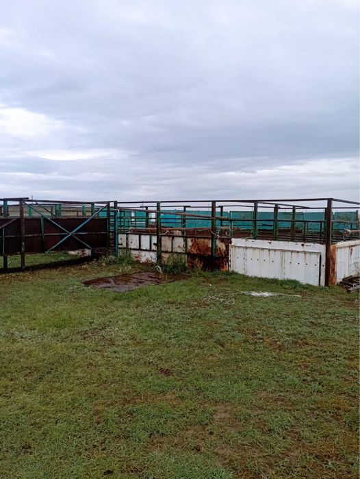 Продается действующее КХ