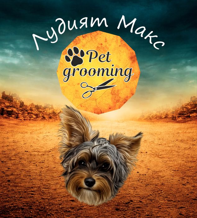 ЛУДИЯТ МАКС  Груминг салон за домашни любимци