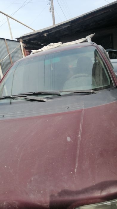 Baby tiktok for kids