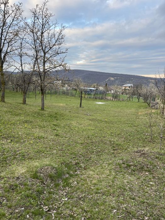 Teren ideal penteu cabana