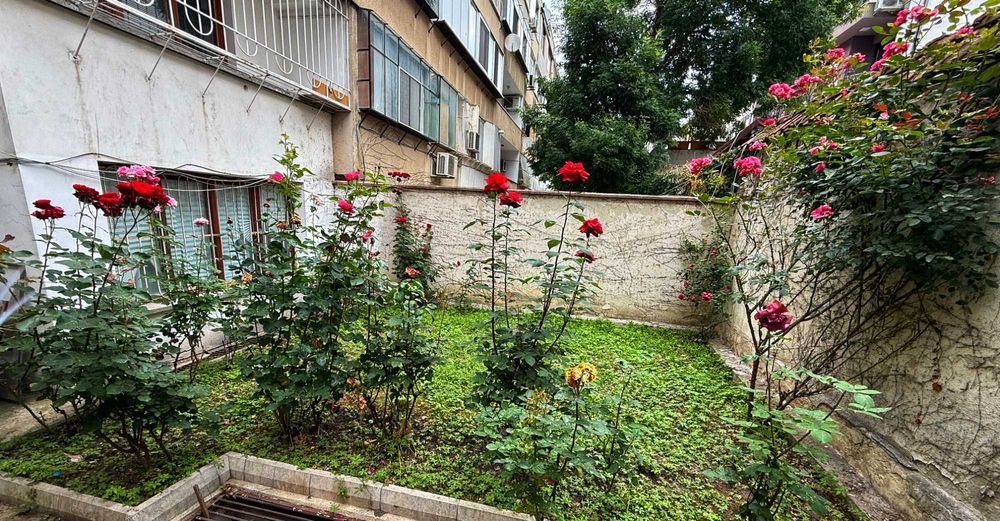 Дава се под наем Офис в Варна, Център - 28 кв.м за 178.5 € - Снимка #2