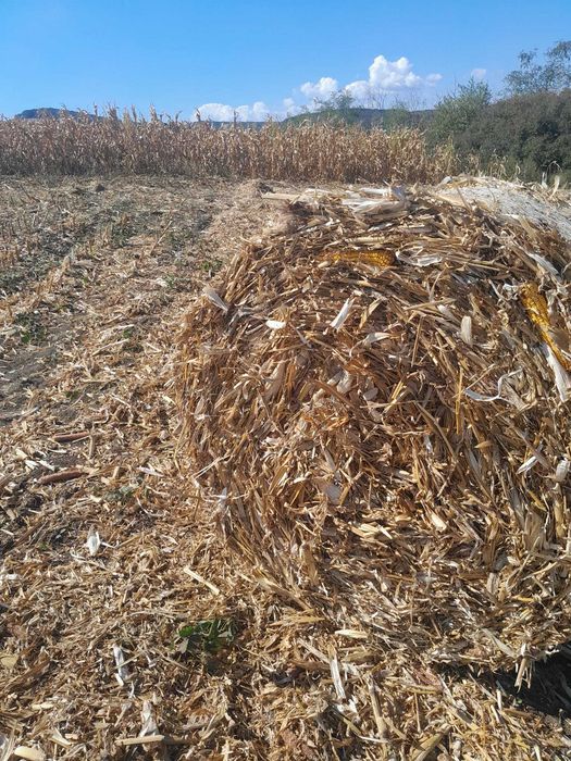 Baloți de tocatura