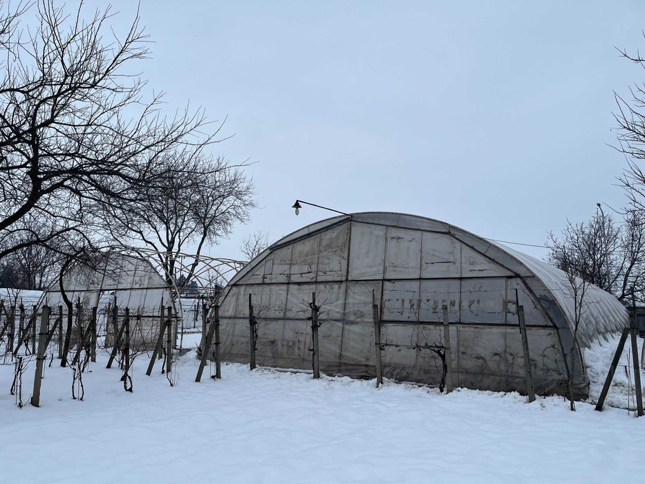 Solarii pentru legume sau flori,MADERAT jud ARAD