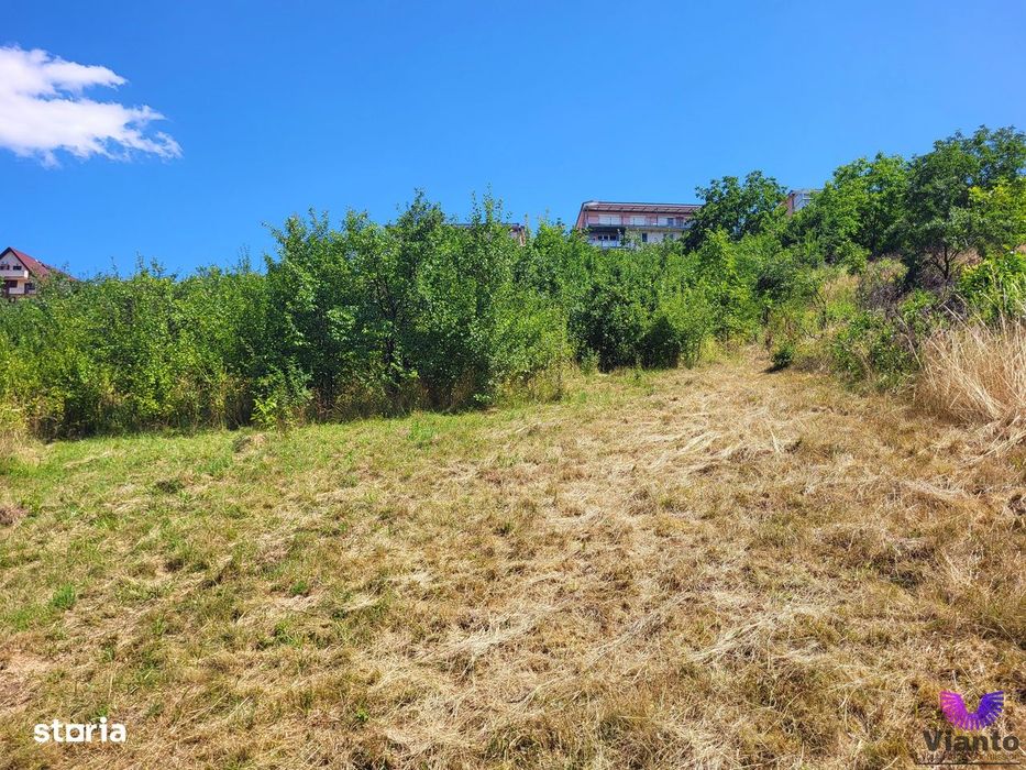 Teren Intravilan 546 mp | Panorama deosebita | PUZ in lucru